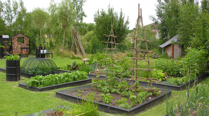 The garden at Friland